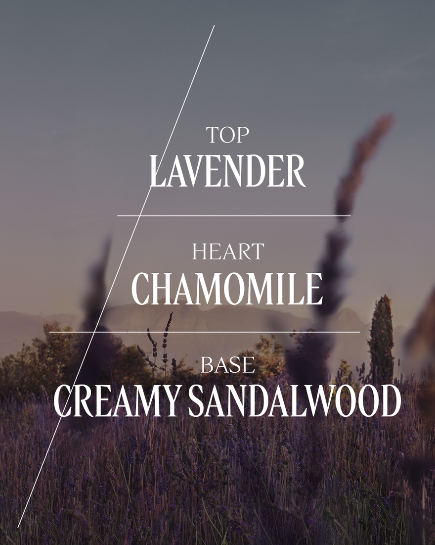 view 4/8 of Lavande (Lavender) Perfumed Shower Gel, , USRECT