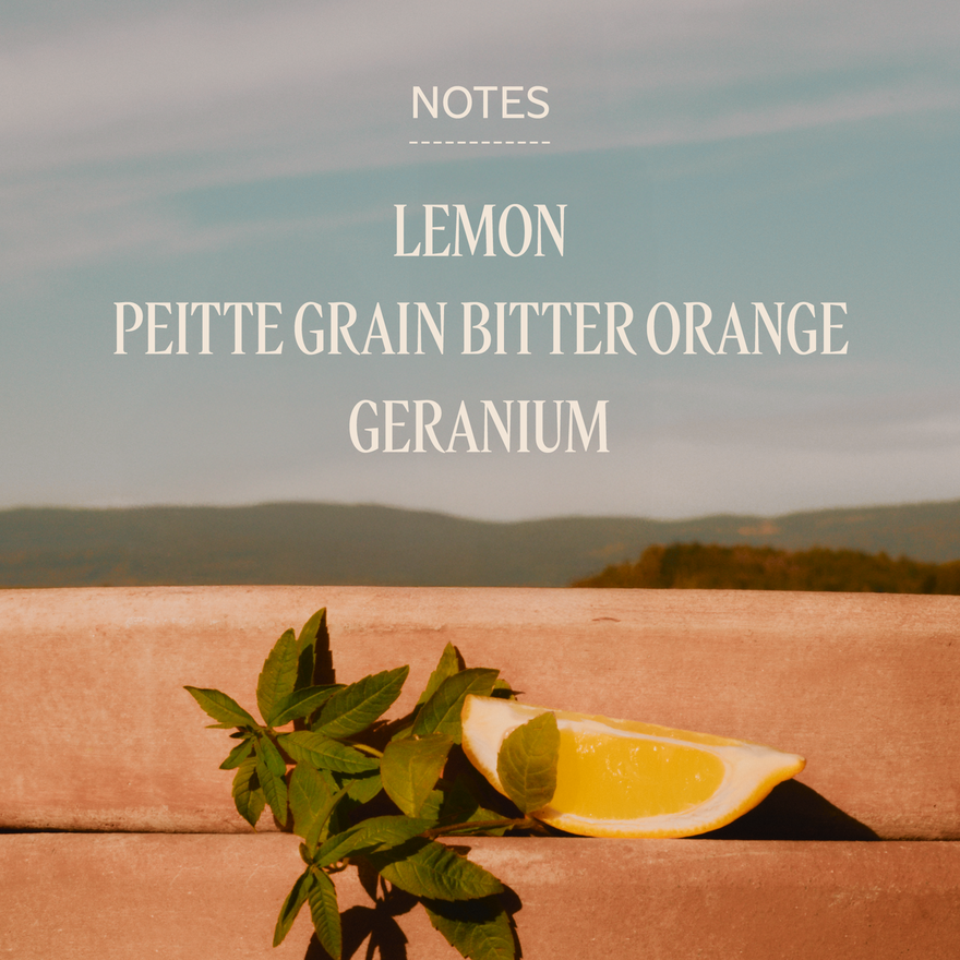 view 2/4 of Verbena Eau de Toilette, , CARECT