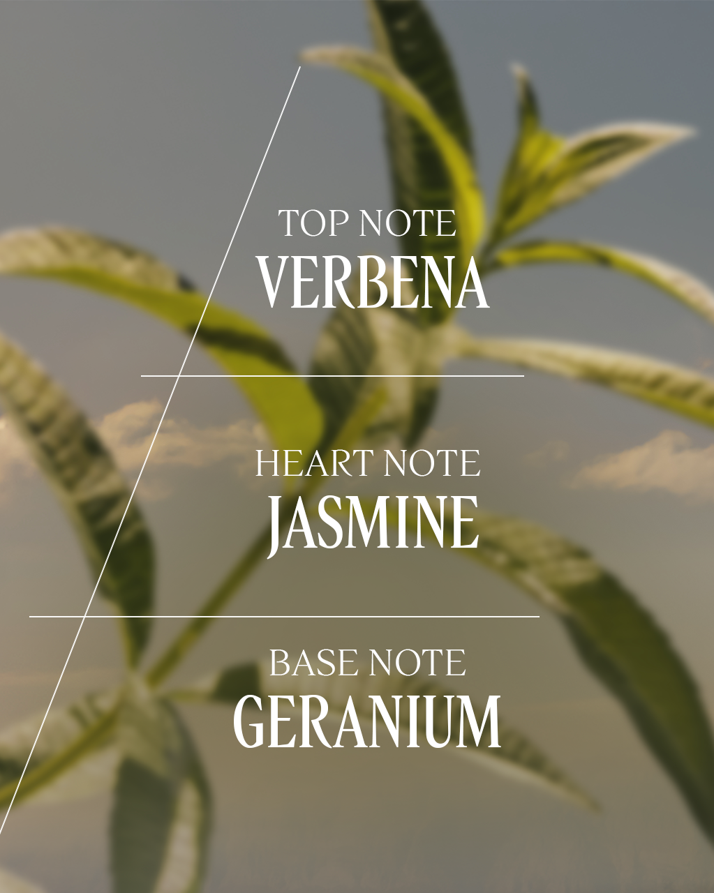 Verveine (Verbena) Roll-On Eau de Toilette