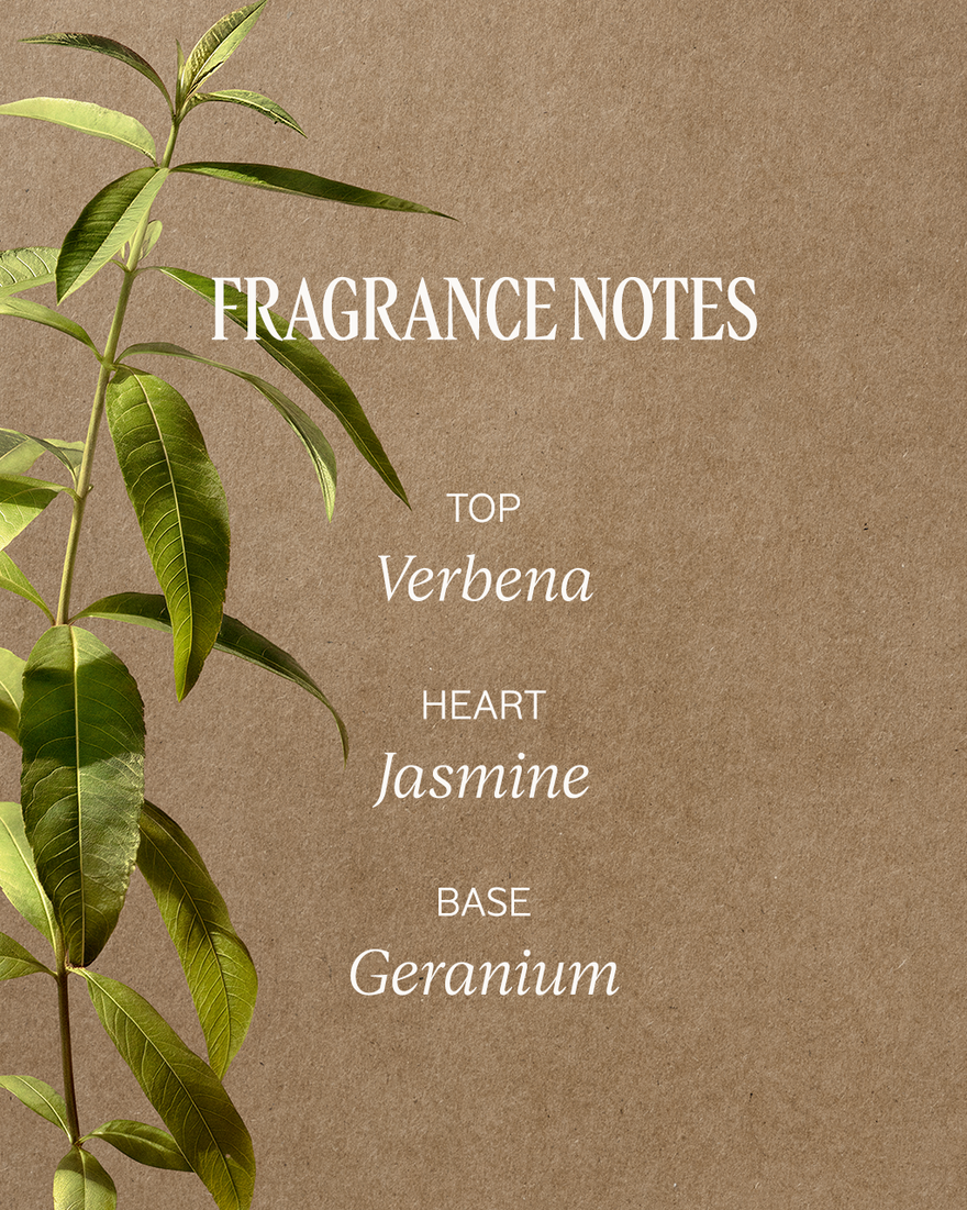 view 3/6 of Verbena Trio, , USRECT