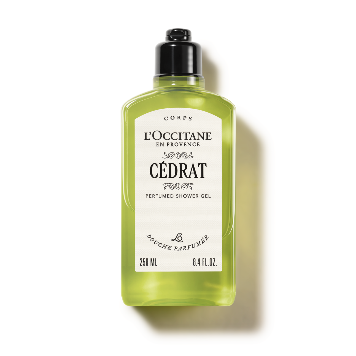 カクタス　コンプリート　L'OCCITANE 20GD250CDR25.png